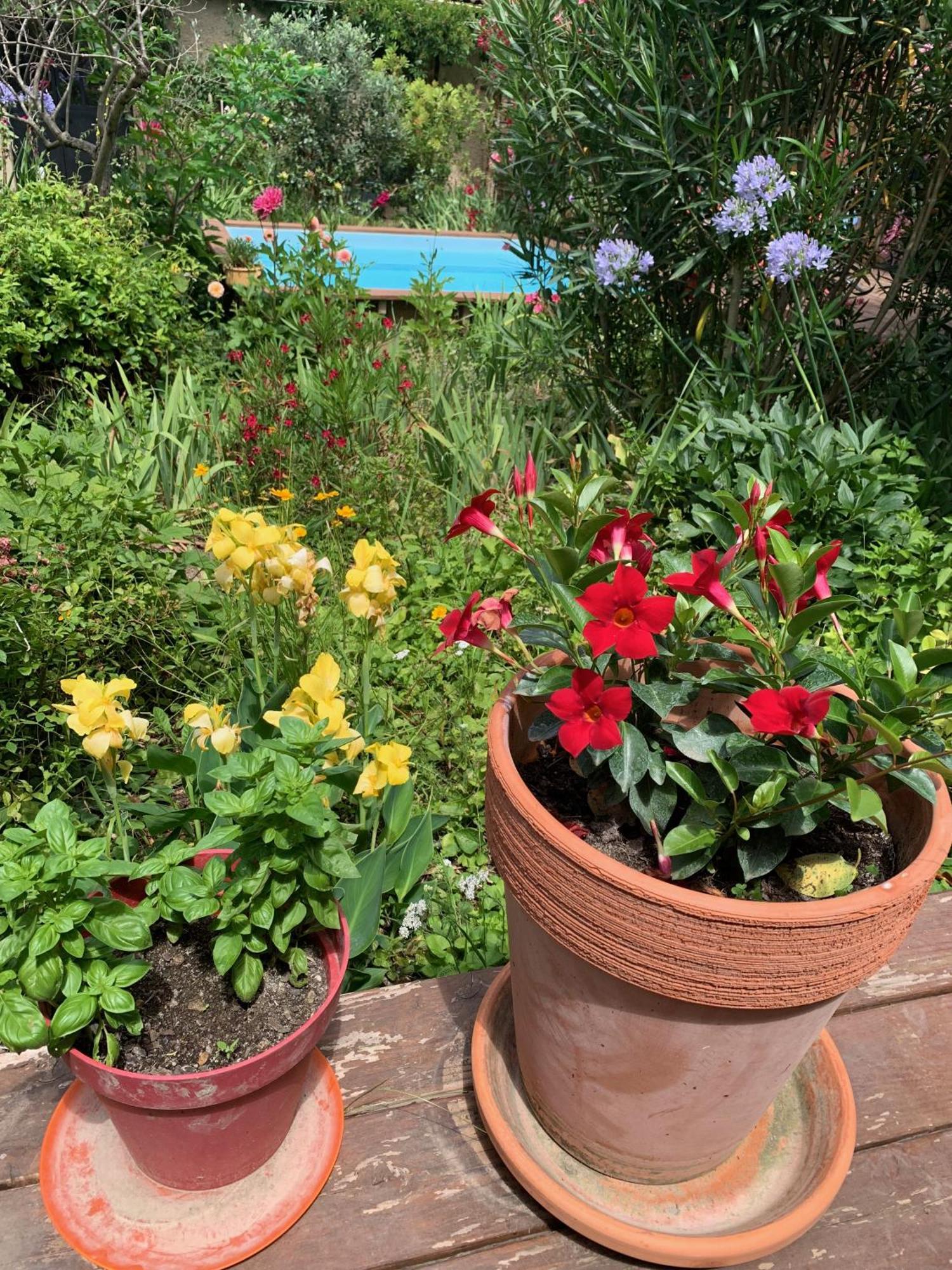 Bed and Breakfast Un Temps Pour Le Reve Valence  Esterno foto